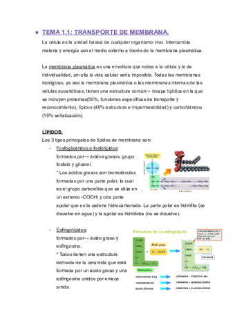 tema-1-bq-ll.pdf