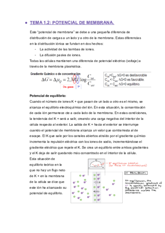 tema-1.pdf