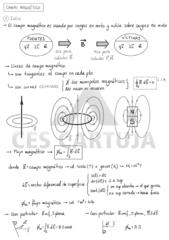 Tema-5-Campo-magnetico.pdf