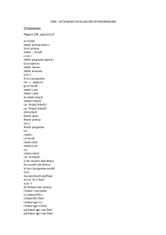 SOM-ACTIVIDADES-EVALUACION-EXTRAORDINARIA.pdf