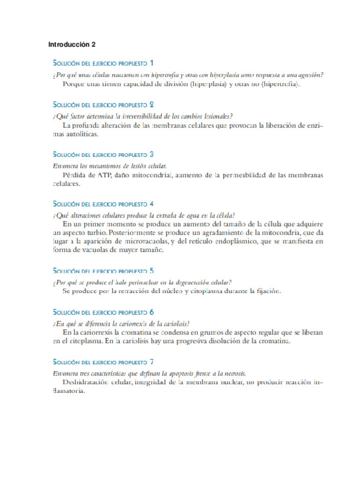 Soluciones-Intro2.pdf