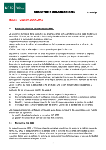 CONSULTORIA-tema-5.pdf