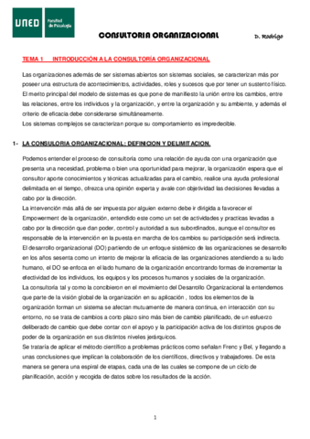 CONSULTORIA-tema-1.pdf