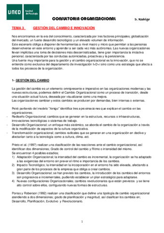 CONSULTORIA-tema-3.pdf