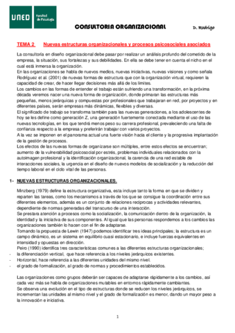CONSULTORIA-tema-2.pdf