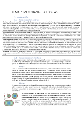 biomoltema7.pdf