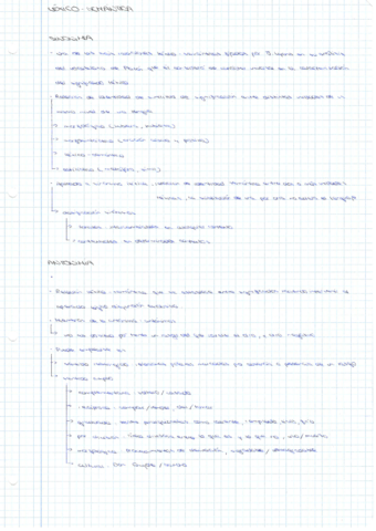 Lexico-semantica-EVAU.pdf