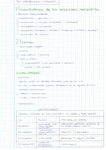 Bloque-de-metabolismo-12-14.pdf