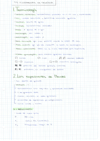 Bloque-de-genetica-y-evolucion-15-19.pdf
