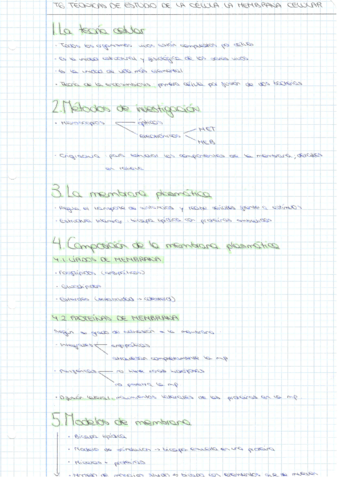 Bloque-de-la-celula-6-11.pdf