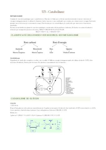 U3-Catabolisme-PDF.pdf