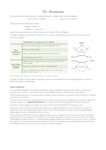 U4-Fotosintesis-PDF.pdf