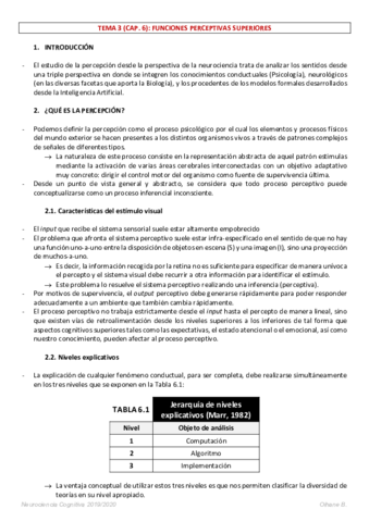 APUNTES-NEUROCIENCIA-COGNITIVA-3.pdf