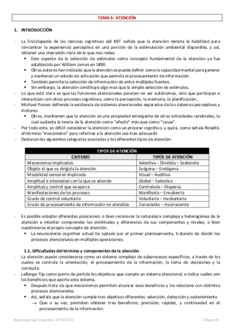 APUNTES-NEUROCIENCIA-COGNITIVA-6.pdf