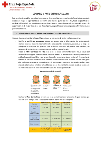 Seminario-4-Reproductiva.pdf