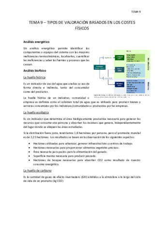 TEMA-9-VALORACION-COSTES-FISICOS.pdf