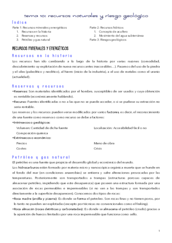 TEMA-10.pdf