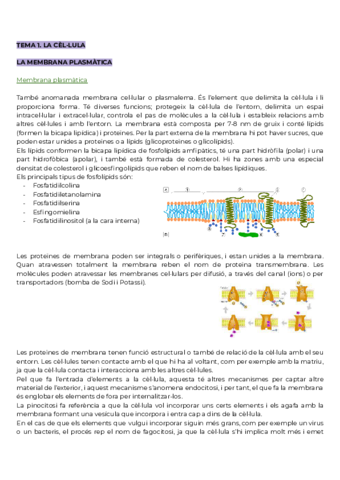 Tema-1.pdf