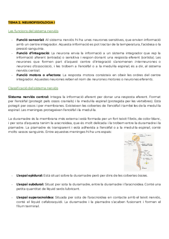 Tema-2.pdf