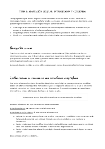 Ginecologia.pdf