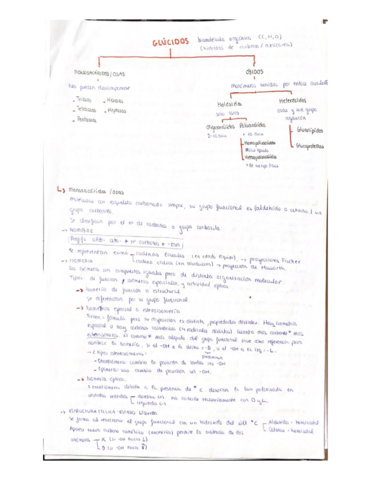 Bioquimica-1.pdf