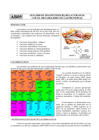 T5-Proteinas-.pdf