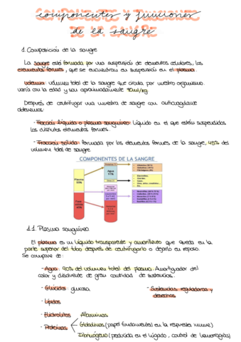 T1-Composicion-Y-Funciones-De-La-Sangre-.pdf