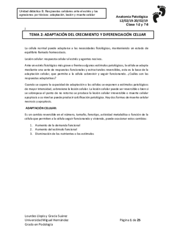 clase-2.pdf