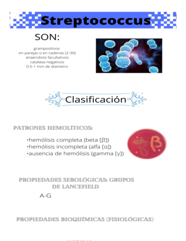 streptococcus.pdf