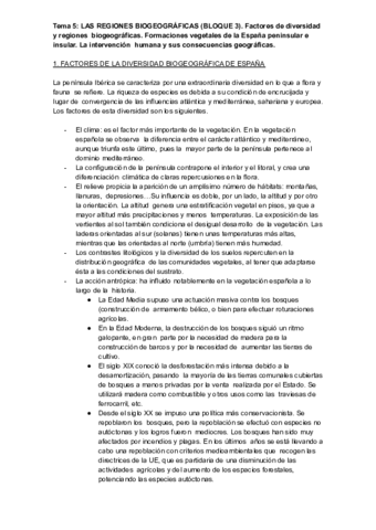 TEMA-5CURSO19-20-1.pdf