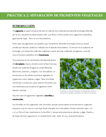 PRACTICA-2.pdf