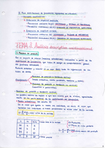 TEMA-3-Analisis-Descriptivo-Unidimensional.pdf