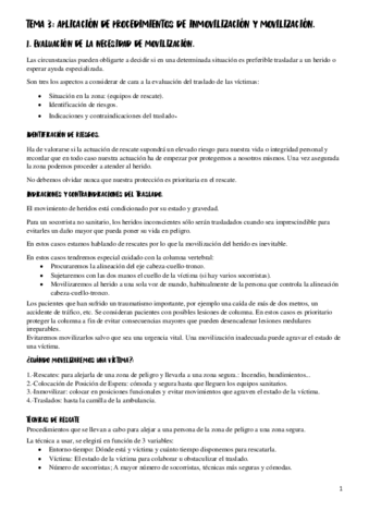 TEMA-3.pdf