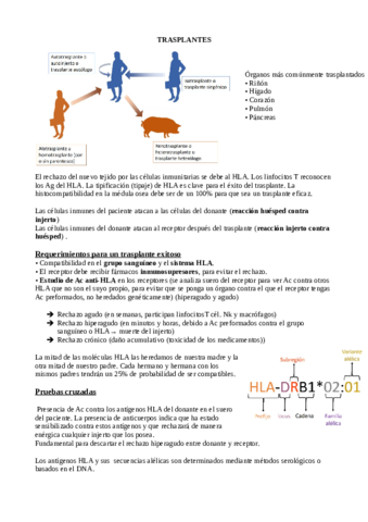 Resumenes-seminarios-inmuno-2021.pdf