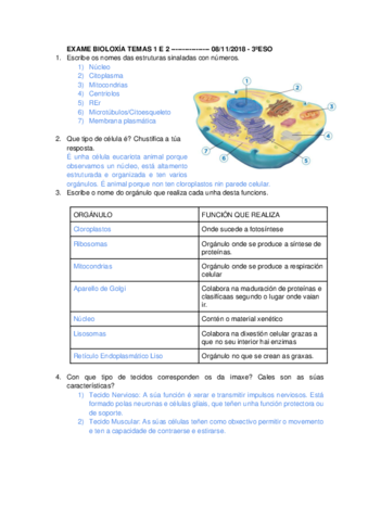 EXAMEN-BIOLOXIA-8112018.pdf