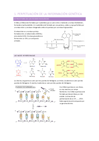 Biologia-1oCCAA-Tema-1.pdf