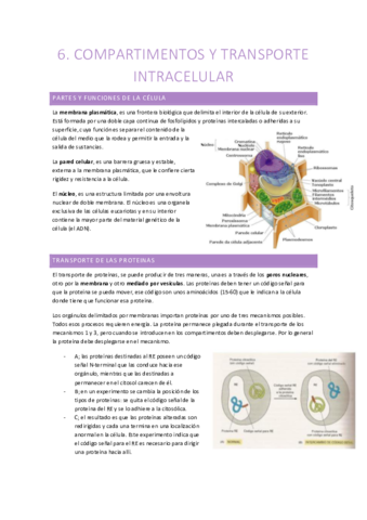 Biologia-1oCCAA-Tema-6.pdf