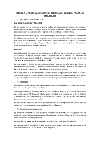 LECCION-13-LA-PRUEBA.pdf