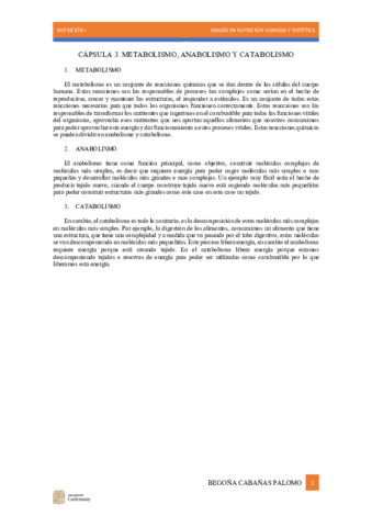 capsula-3.pdf