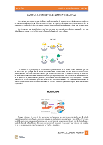 capsula-4.pdf