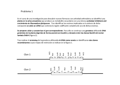 Resolucio-Problemes-1-i-2.pdf