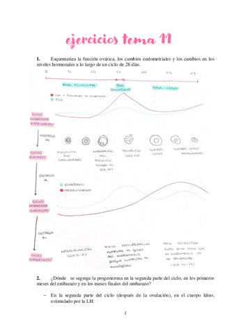 Actividades-Tema-11.pdf