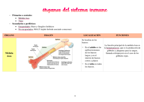 tabla-organos-SI.pdf