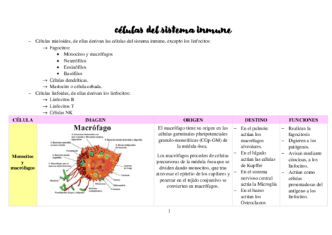 Tabla-celulas-SI-modelo.pdf