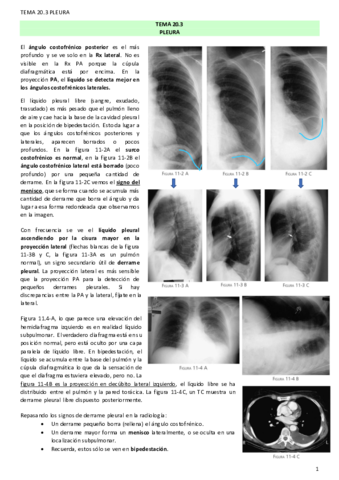 TEMA-20.pdf