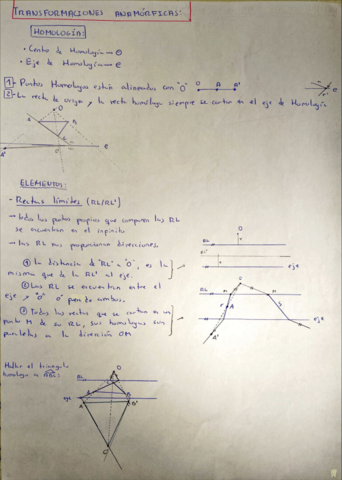 HOMOLOGIA.pdf