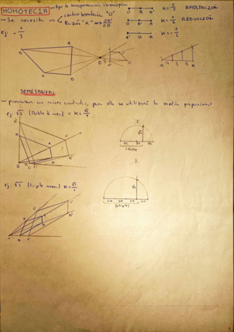 HOMOTECIA-SEMEJANZAS-Y-EQUIVALENCIAS.pdf