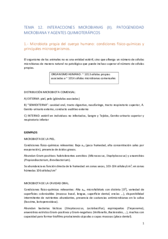 MB-Tema-12.pdf
