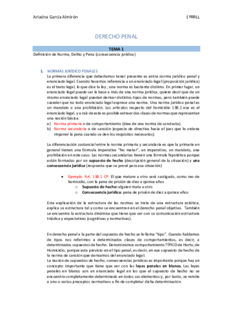Apuntes-Derecho-Penal.pdf