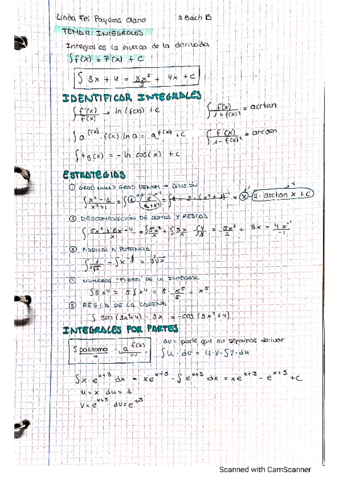 Tema-9-Itengrales.pdf